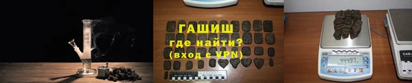 гидра Новодвинск