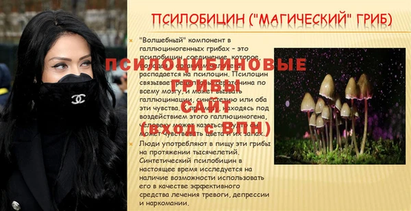 дживик Нязепетровск