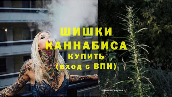дживик Нязепетровск