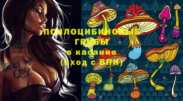 2c-b Няндома