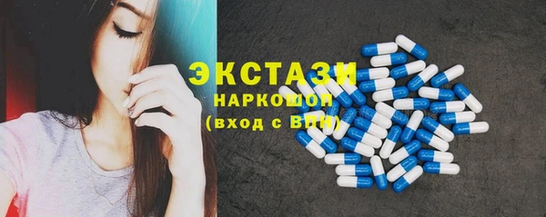 соль ск Новозыбков