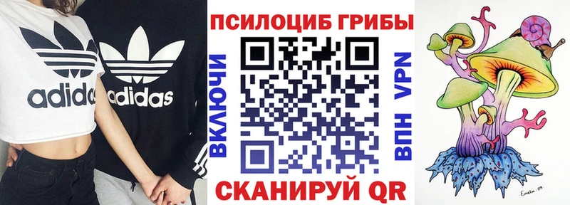 где продают наркотики  Семилуки  Псилоцибиновые грибы MAGIC MUSHROOMS 