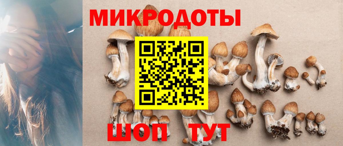 Альфа ПВП Семилуки