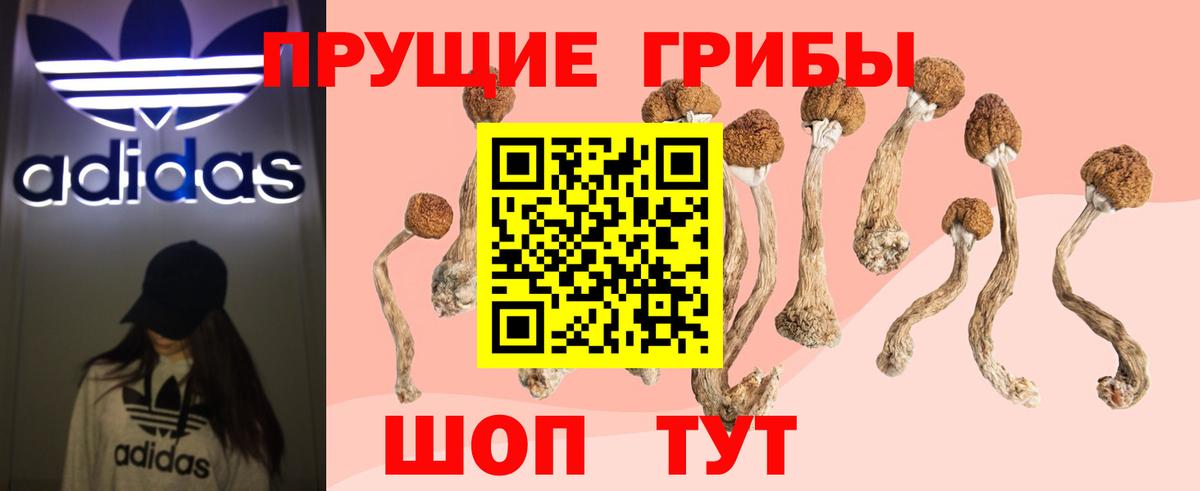 Псилоцибиновые грибы Psilocybine cubensis Семилуки